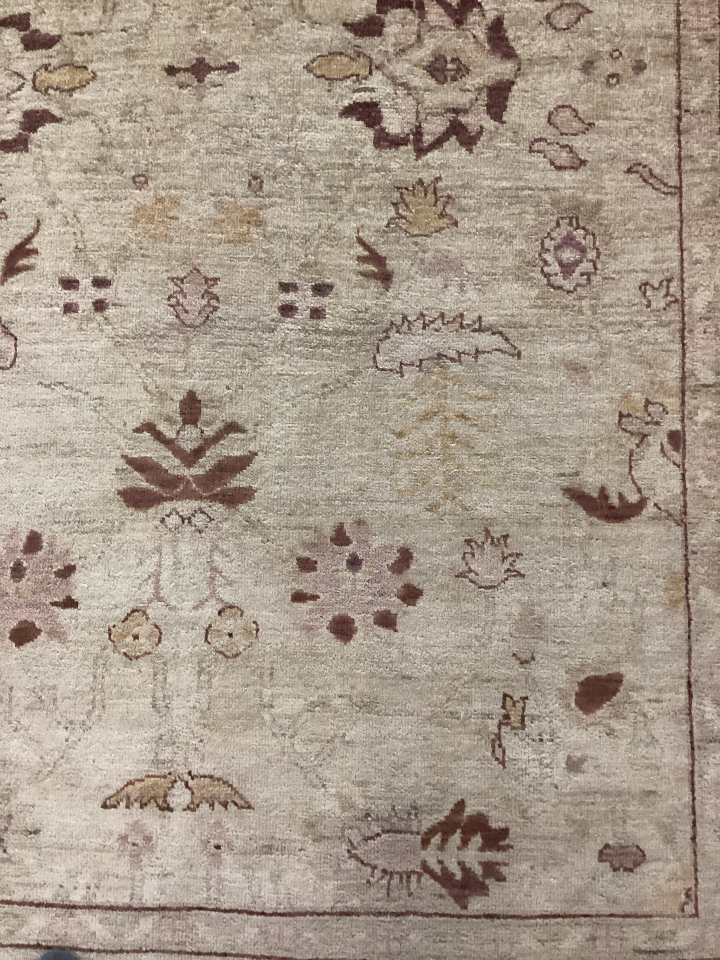 5’6 X 7’7 Beige Turkish Oushack Rug