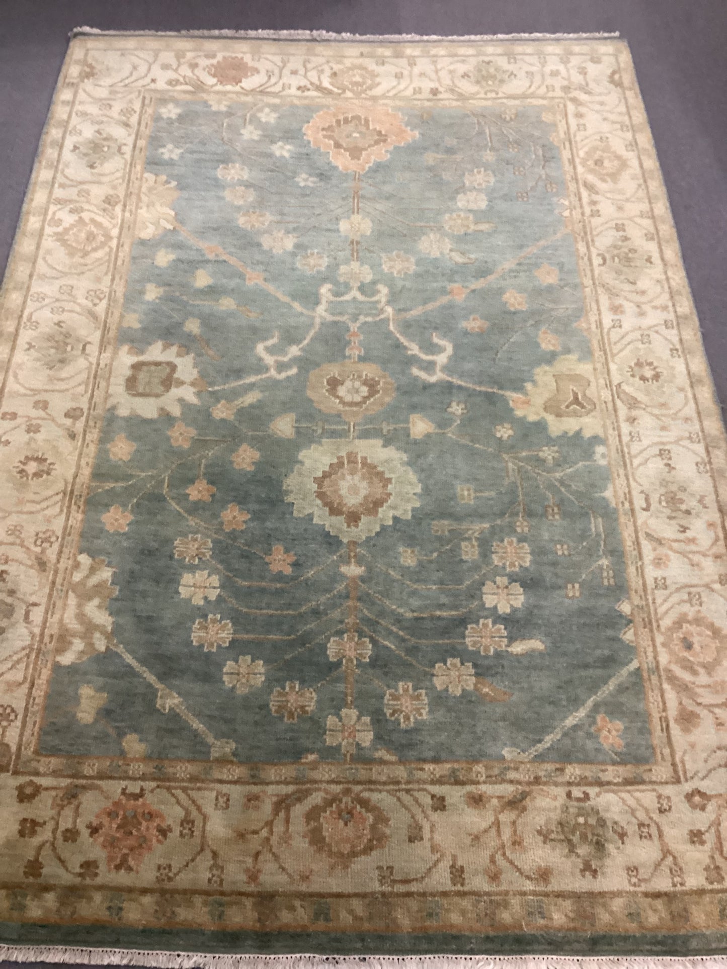 6 X 8’9 Light Blue Rug