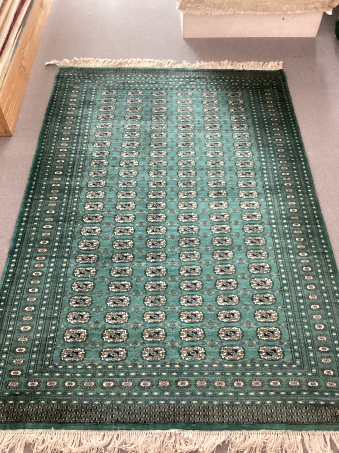 6 X 9 Green Bokahara Rug