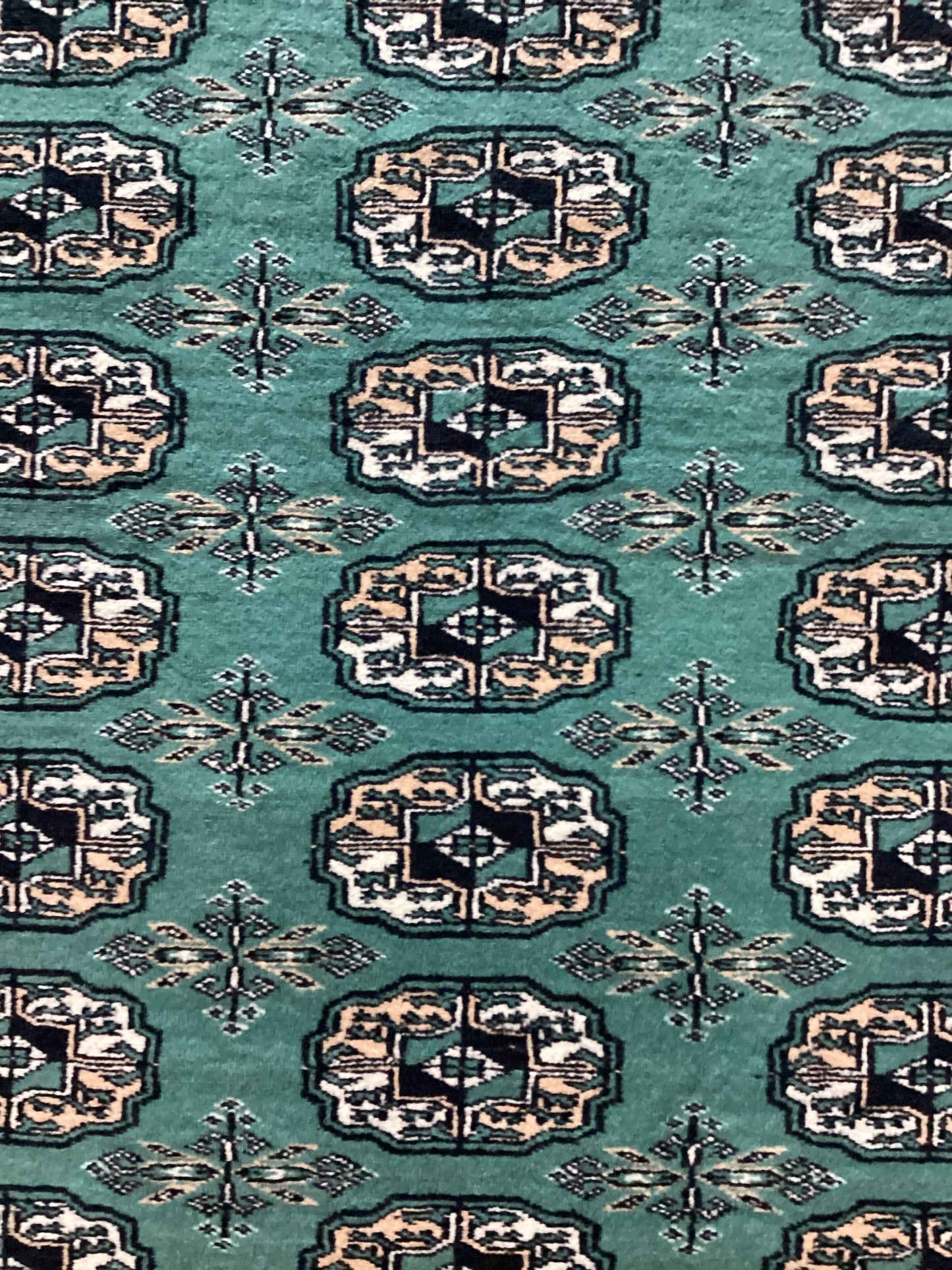 6 X 9 Green Bokahara Rug