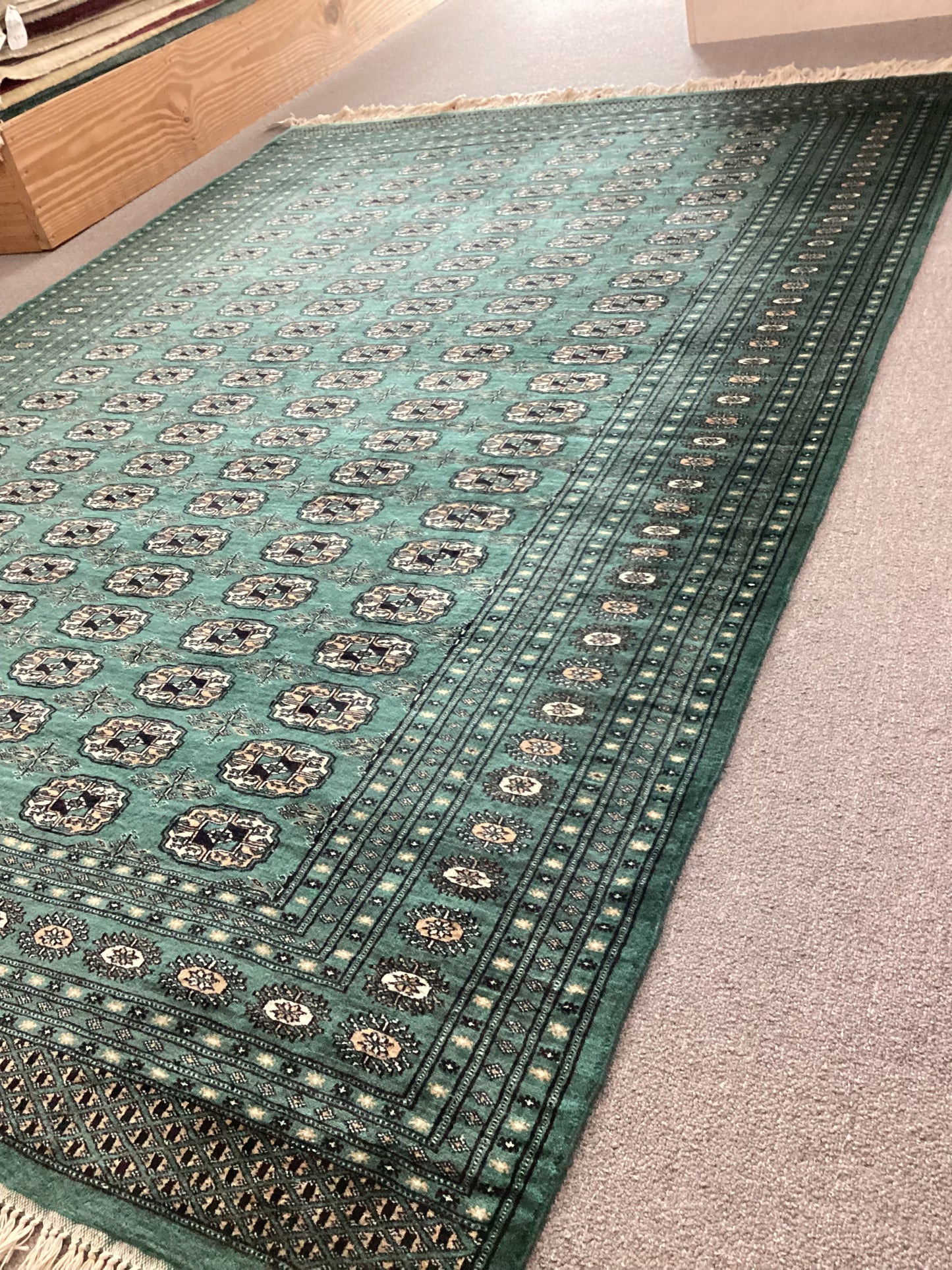 6 X 9 Green Bokahara Rug