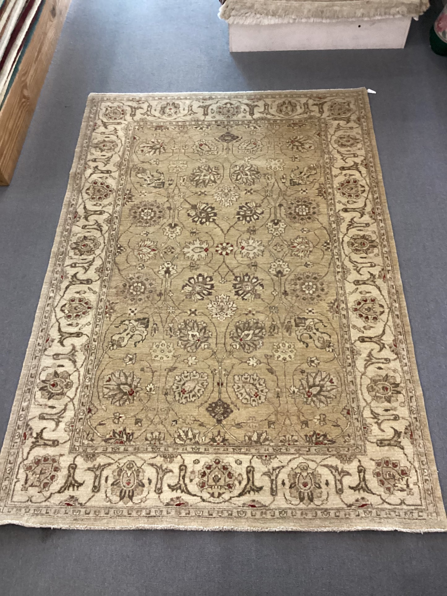 6 X 9 Tan Turkish Oushack Rug