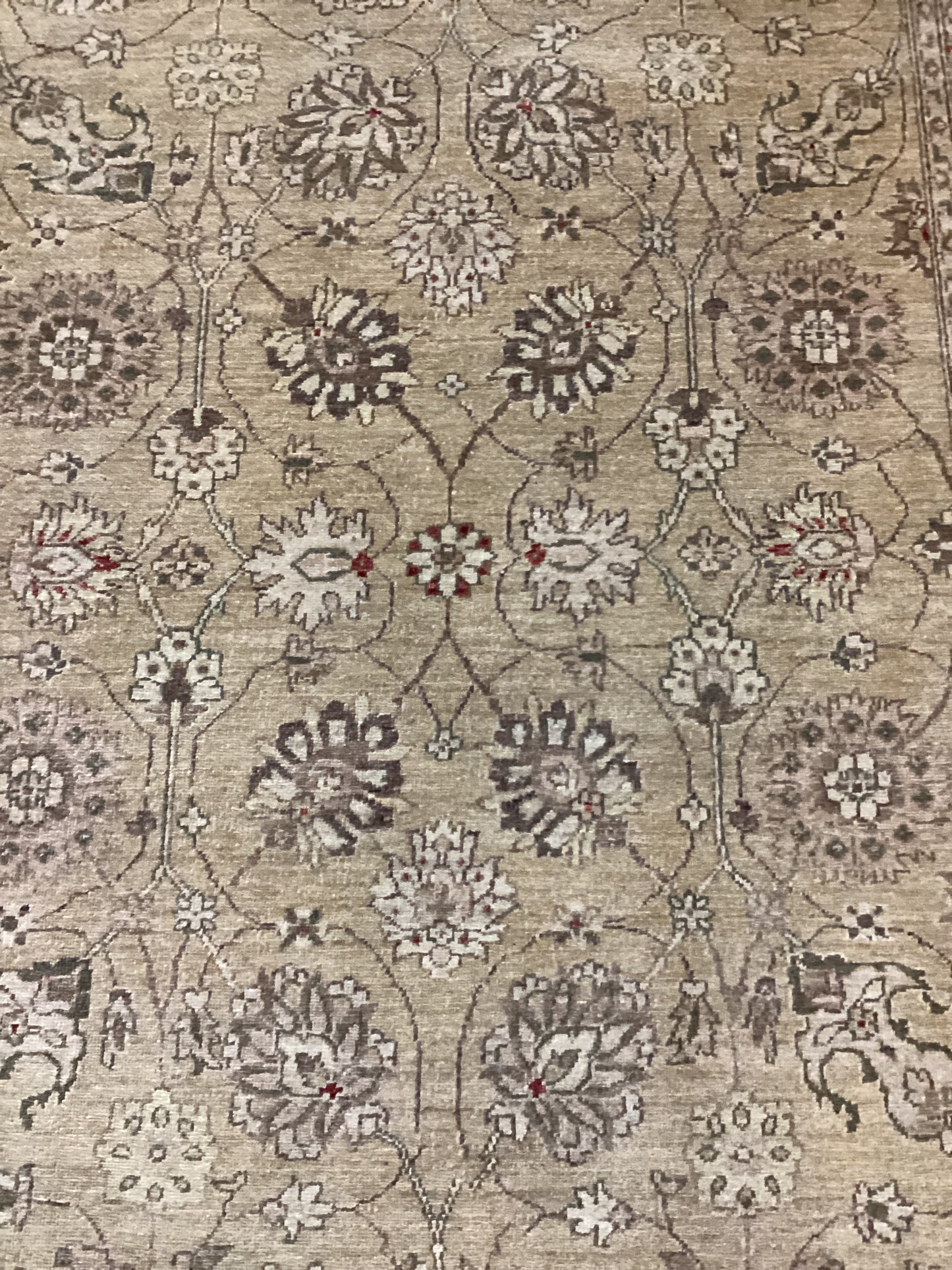 6 X 9 Tan Turkish Oushack Rug