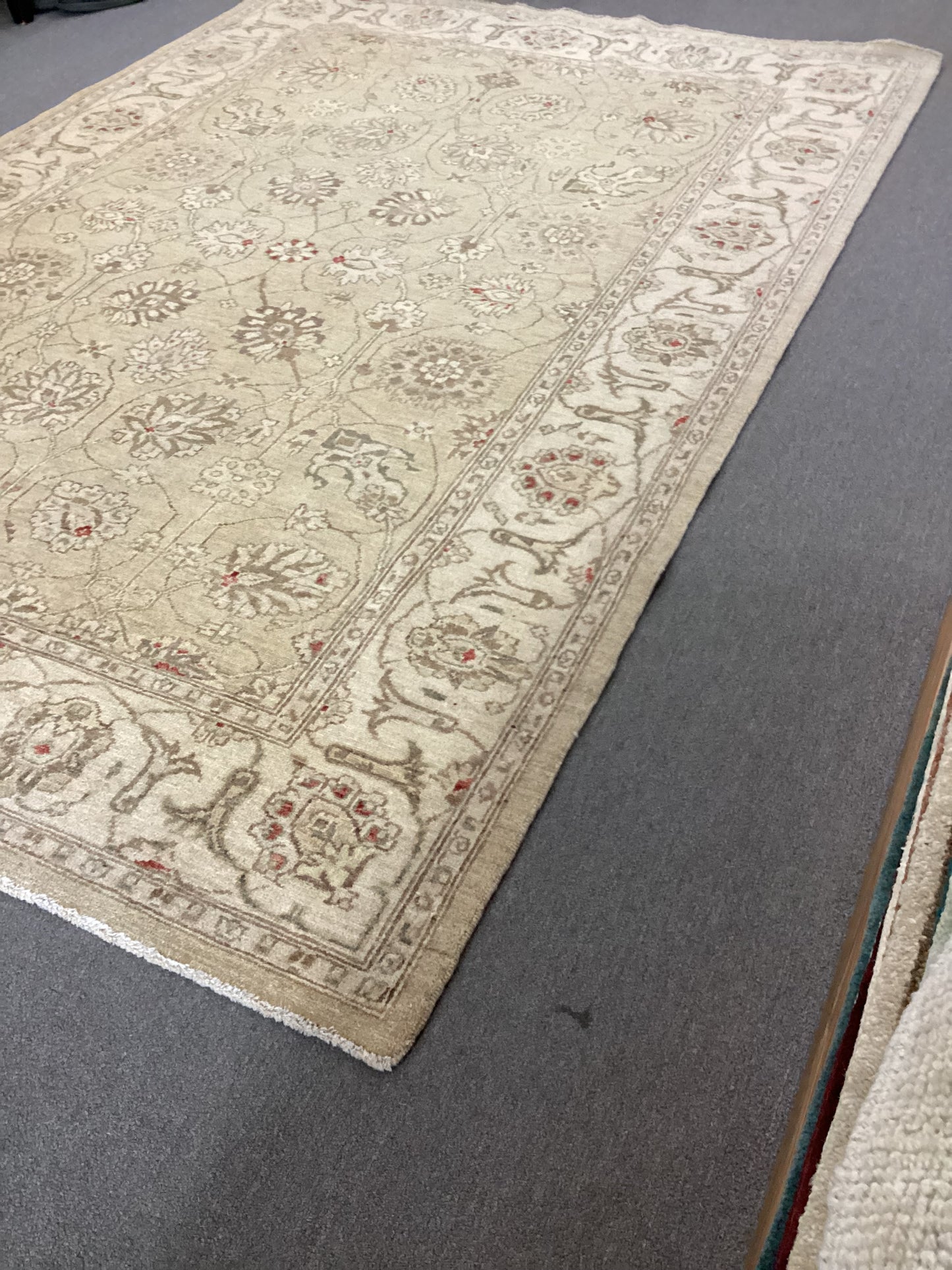 6 X 9 Tan Turkish Oushack Rug