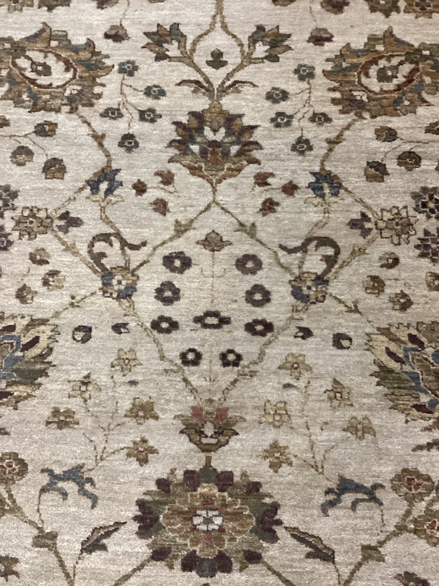 6 X 9’3 Ivory Indo Oushack Rug